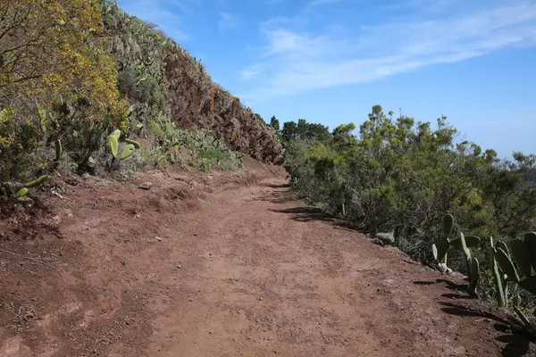 Gravel Road Sur Gomera Îles Canaries Espagne — Photo