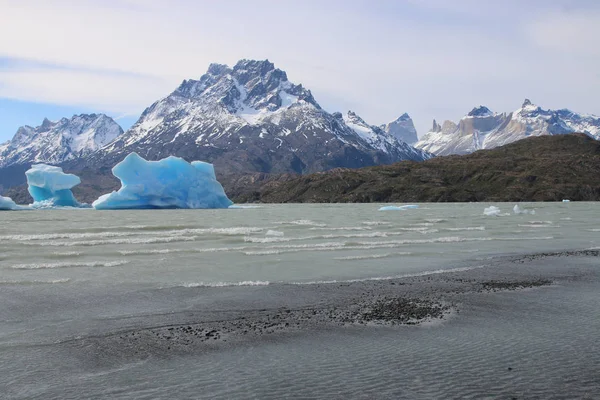 Des Icebergs Dans Lac Grey Parc National Des Torres Del — Photo