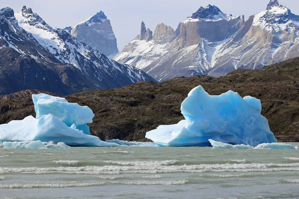 Buzdağları Gölü Gri Torres Del Paine Millî Parkı Patagonya Şili — Stok fotoğraf