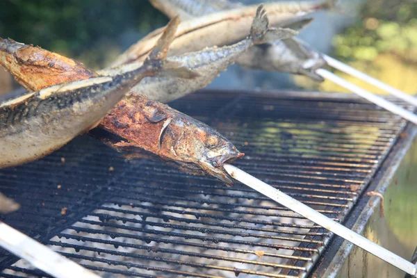 Verse Makreel Stok Barbecue Feest Duitsland — Stockfoto