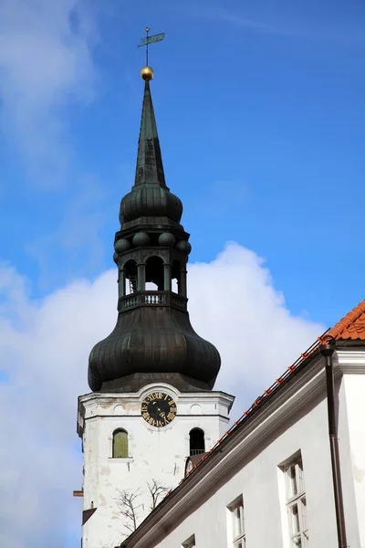 Cathedral Saint Mary Virgin Also Known Dome Church Tallinna Neitsi — Stock Photo, Image