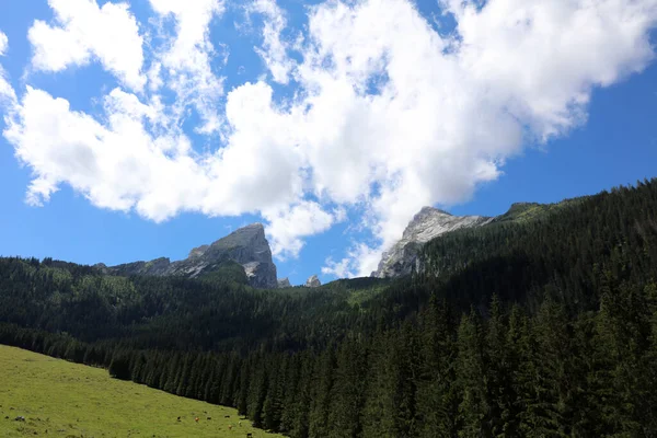 Watzmann Gipfel Mit Blauem Himmel Und Wolken Sommer Nationalpark Berchtesgadener — Stockfoto