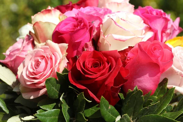 Ein Strauß Wundervoller Unterschiedlicher Rosen — Stockfoto