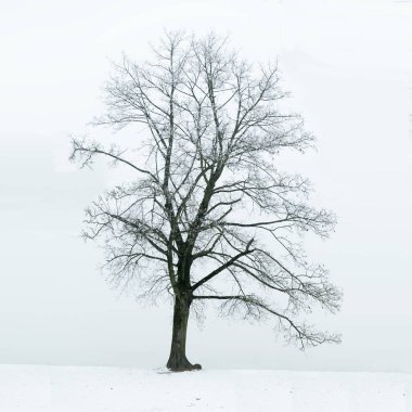 Yalnızlık ve hüzün kavramı