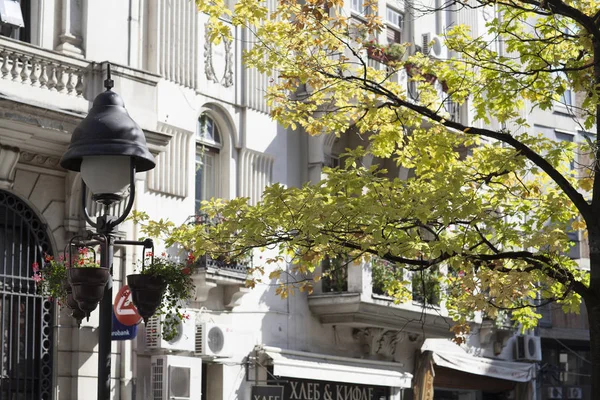 Belgrad, Sırbistan - 12 Ekim 2013: Knez Mihailova Caddesi