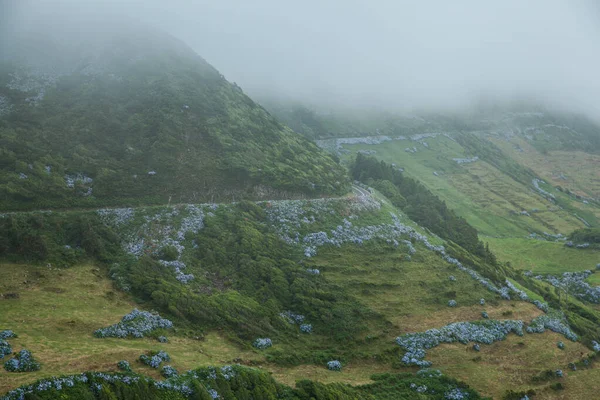 Paysage à Flores Island, Açores — Photo