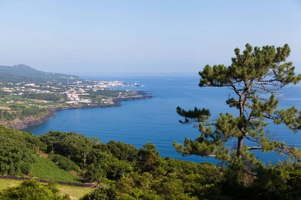 Paisagem da Ilha do Pico — Fotografia de Stock