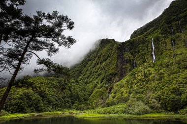 Poco da ribeira do ferreiro, Flores, Azores, Portekiz
