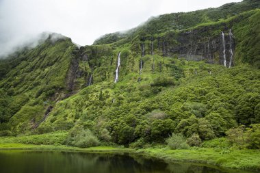Poco da ribeira do ferreiro, Flores, Azores, Portekiz