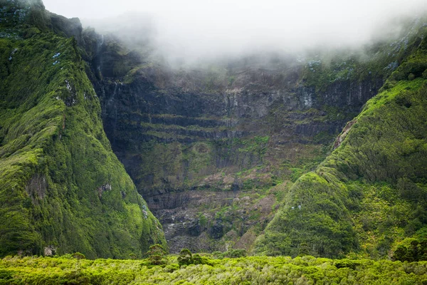 Poco da ribeira do ferreiro, Flores, Azores, Portekiz