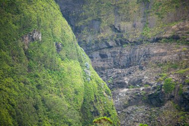 Poco da ribeira do ferreiro, Flores, Azores, Portekiz