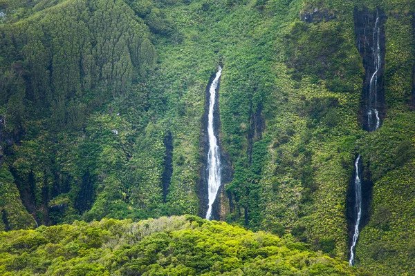 Poco da ribeira do ferferro, Flores, Azores, Portugal — стоковое фото