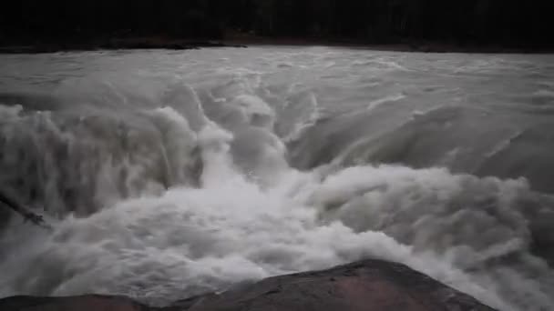 Sunwapta Falls Jasper Alberta Canada — Video Stock