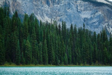 Emerald Lake, Yoho Ulusal Parkı, British Columbia, Kanada