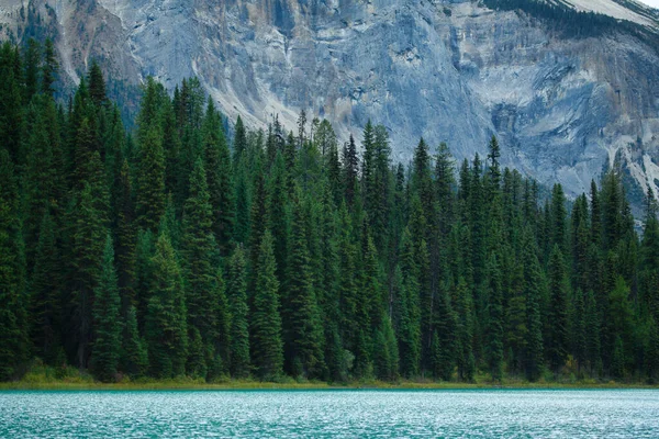 Emerald Lake Parque Nacional Yoho British Columbia Canadá — Fotografia de Stock