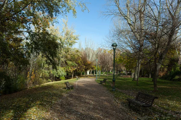 Parque Ribera Castilla Herbst Valladolid Spanien — Stockfoto
