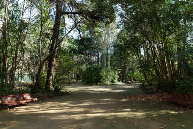 Park Campo Grande kışın, Valladolid, İspanya