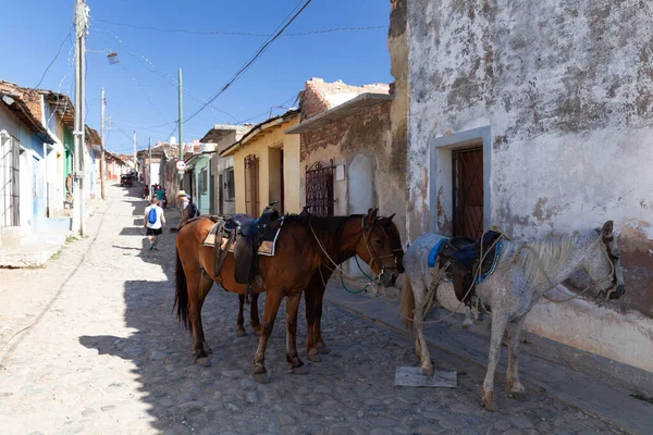 Trinidad Cuba Febrero 2015 Los Caballos Como Transporte Tradicional — Foto de Stock