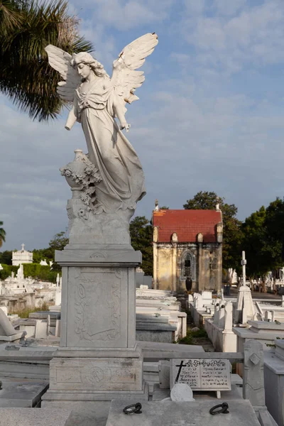 Havanna Kuba Februar 2015 Colon Cemetery General View — Stockfoto