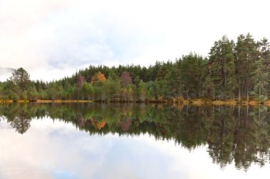 Cairngorms Ulusal Parkı: Sonbaharda Uath Lochan, Kincraig, İskoçya, İngiltere