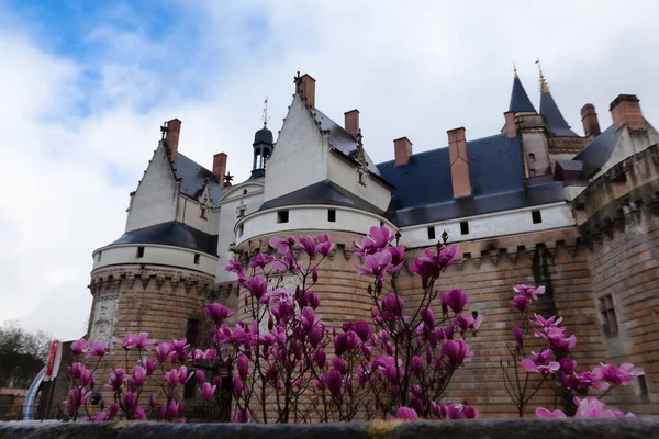 Nantes Francja Lutego 2020 Zamek Książąt Bretanii Otoczony Kwitnącymi Kwiatami — Zdjęcie stockowe