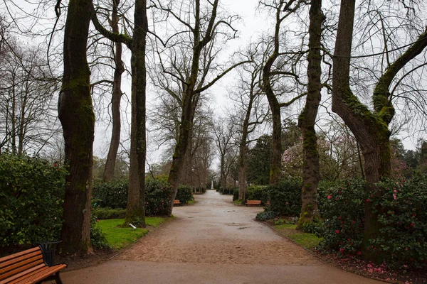 Nantes França Fevereiro 2020 Jardim Botânico Nantes Inverno — Fotografia de Stock