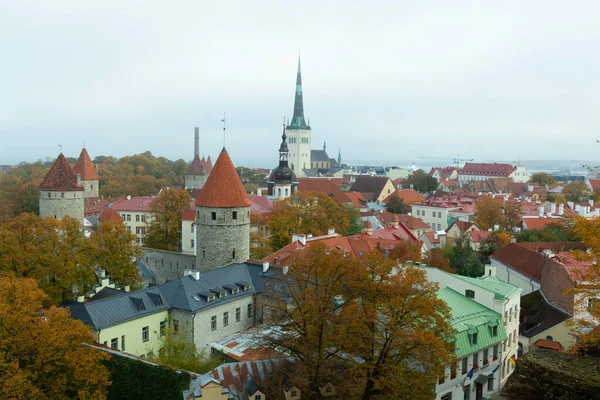 Tallin Estonia Październik 2018 Panoramiczny Widok Patkuli Widokiem Olafs — Zdjęcie stockowe