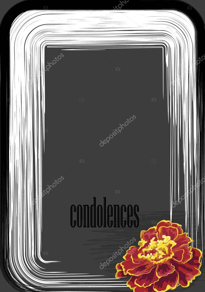 condolence on a dark gray background, a flower of a marigold