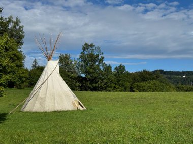 Yakındaki ağaçlarla ve parlak mavi gökyüzüyle çelişen, görkemli, bereketli bir tarlada güzel bir ipucu duruyor.