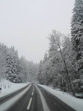 Arka planda ağaçlar olan karlı bir yol. Yol boş ve gökyüzü bulutlu.