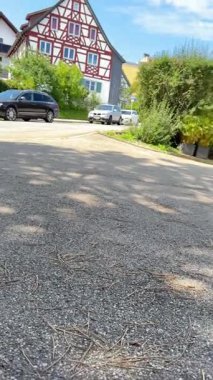Adorable puppies playing with a pine cone on a sunny day, showcasing their playful nature and companionship.