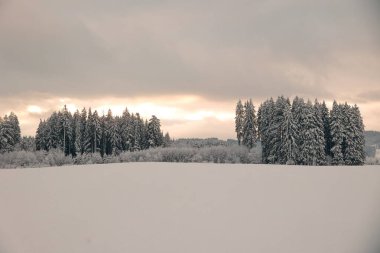 Arka planda ağaçlar olan karlı bir tarla. Gökyüzü bulutlu ve güneş batıyor.