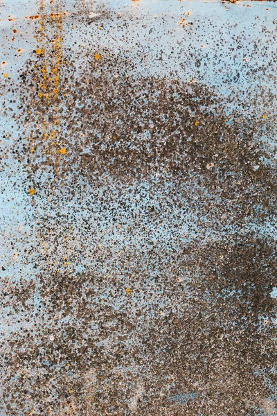 doku, duvardaki kırık boya