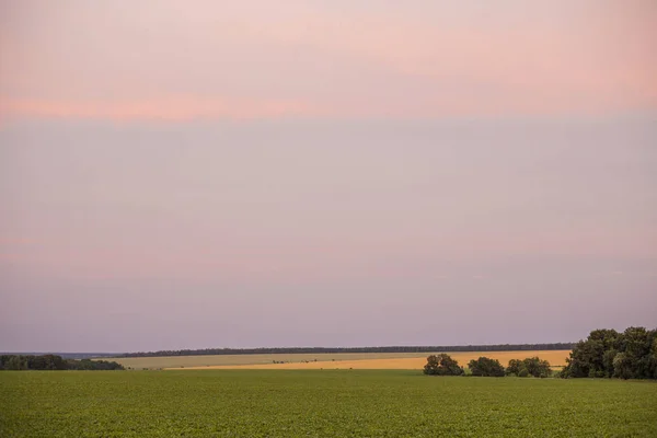 kırsal manzara, pembe, suluboya gökyüzü günbatımı, alan
