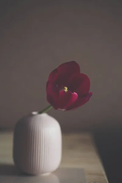 bir vazoda koyu kahverengi zemin üzerine koyu kırmızı lale