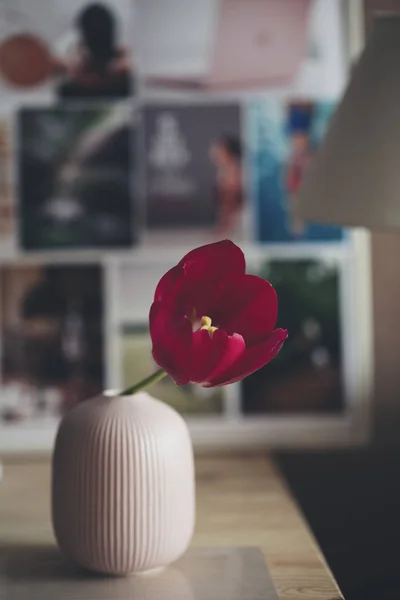 cam aranjman arka plan mudbrod üzerinde koyu kırmızı lale