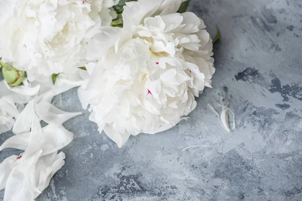gri bir arka plan üzerinde beyaz peonies