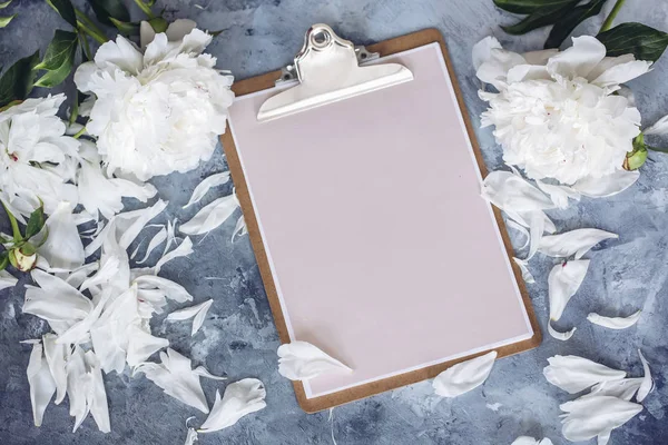 peonies gri bir arka planda kayıt için bir yer