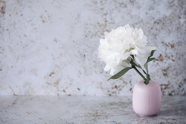 hafif bir arka planda yer yazmak için beyaz şakayık