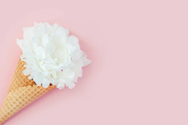 Şakayık bir gofret dondurma koni