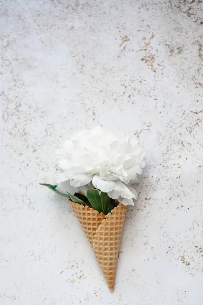 Şakayık bir gofret dondurma koni