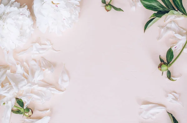 hafif bir arka planda yer yazmak için beyaz şakayık