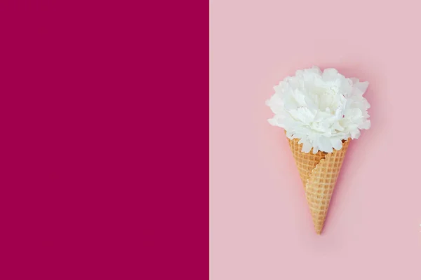 Şakayık bir gofret dondurma koni