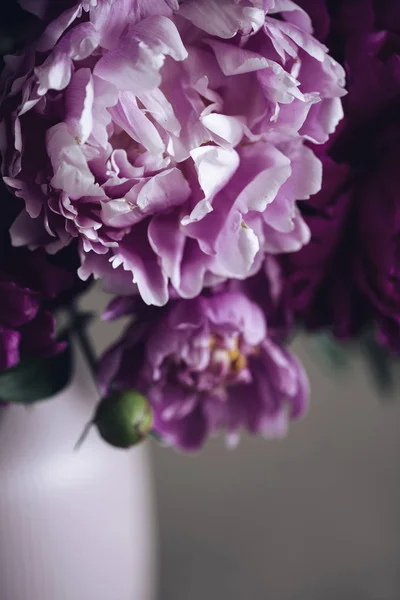 Koyu pembe peonies bir vazo içinde. Natürmort. Kahverengi zemin