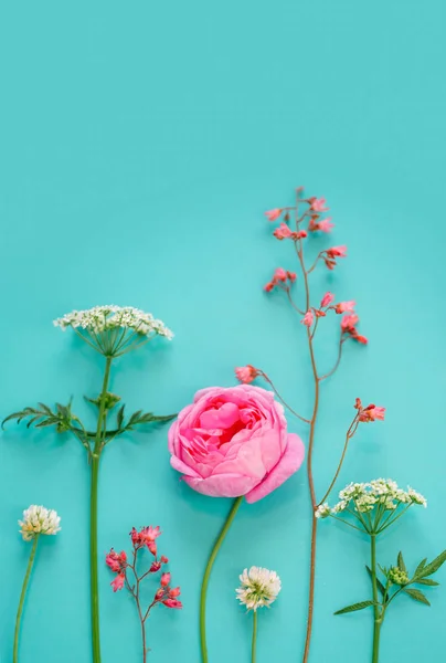 Mavi ülke bahçe tanzimi