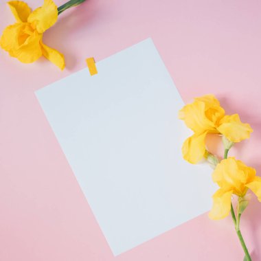 Pembe arka planda sarı çiçekler