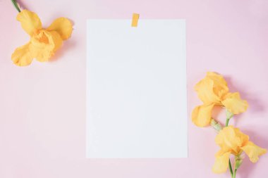 Pembe arka planda sarı çiçekler