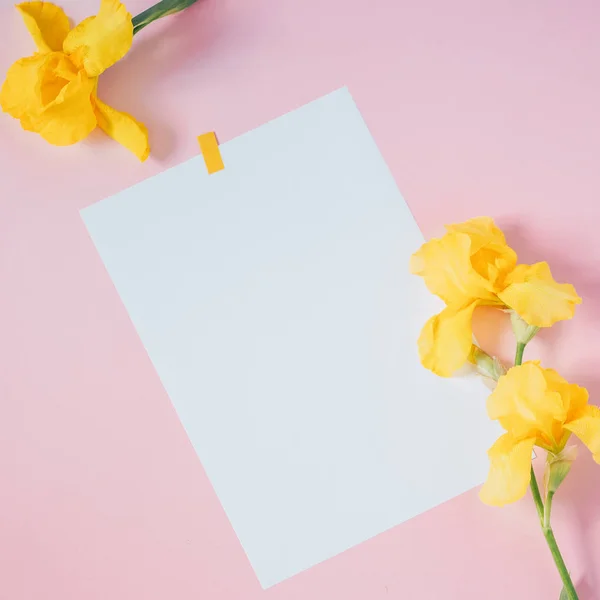 Pembe arka planda sarı çiçekler