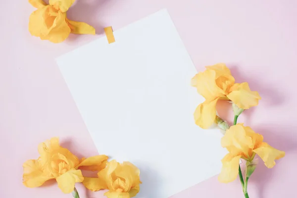 Pembe arka planda sarı çiçekler