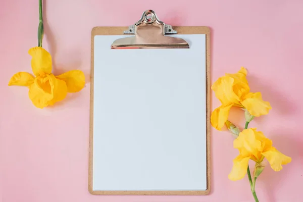 Pembe arka planda sarı çiçekler